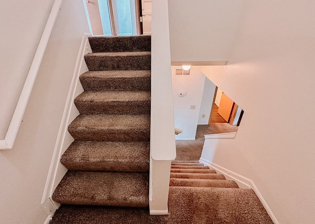 a staircase with carpeted stairs leading up to a house