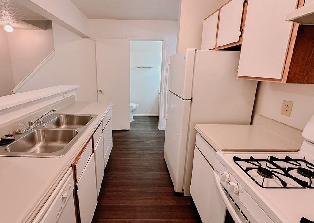 a kitchen with a stove and a sink and a refrigerator