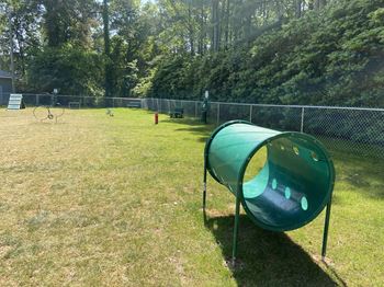 Dog Park
