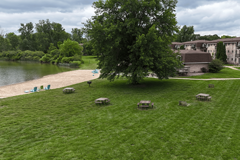 A tree stands in a grassy field with picnic tables and a lake in the background.