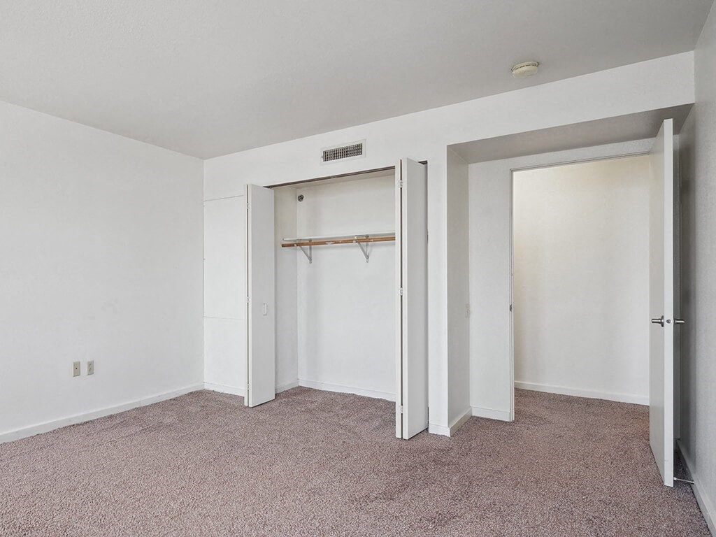 bedroom with a closet and carpet