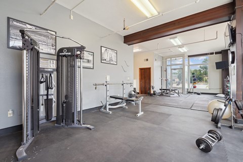 A gym with a variety of equipment including a squat rack, bench, and weights.