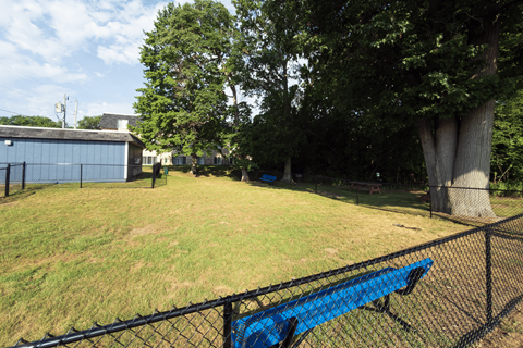 A blue bench sits in a grassy area behind a black fence.
