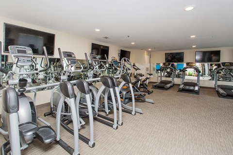 A gym with a variety of exercise equipment including treadmills, stationary bikes, and elliptical machines.