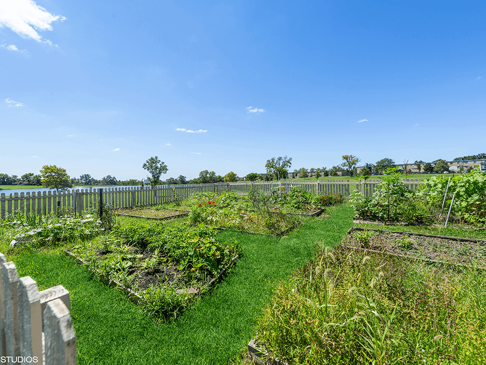 a community garden with a fence and green grass