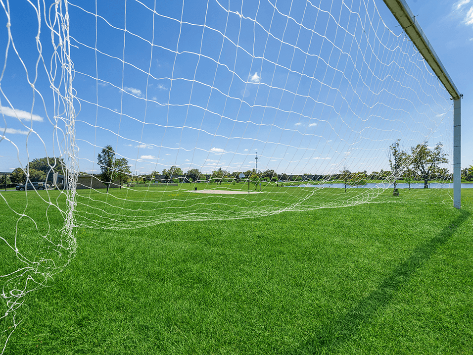 a soccer goal on a field with green grass