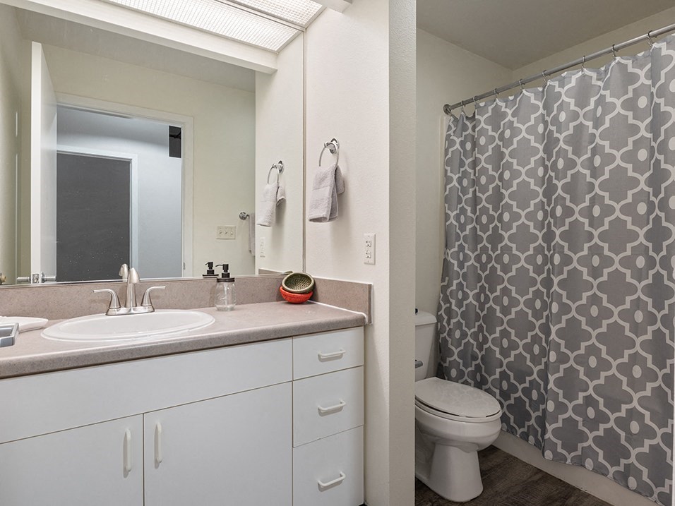 a bathroom with a shower and a sink and a toilet