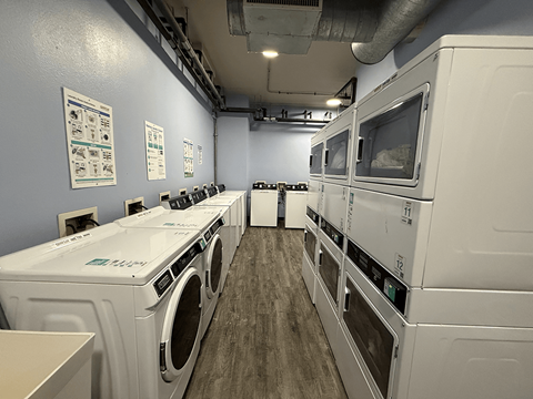 A row of white washing machines in a laundry room.