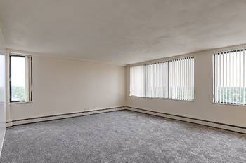 A room with a grey carpet and two windows with blinds.