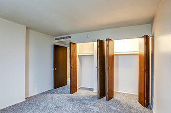 A room with a carpeted floor and a row of doors.