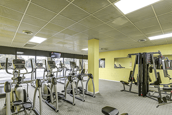 A gym with a variety of exercise equipment.