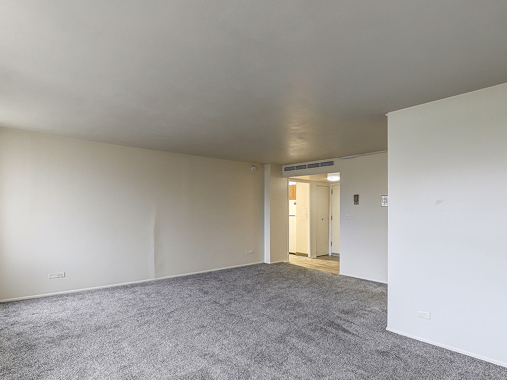 A room with a grey carpet and white walls.