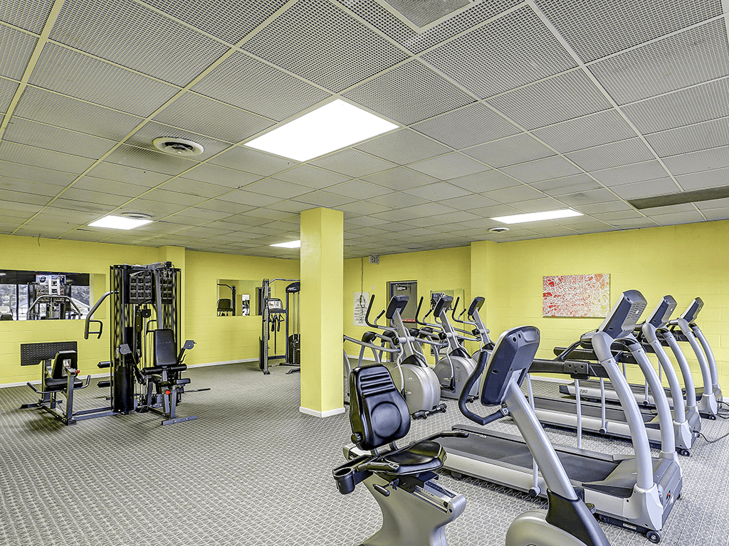 A gym with treadmills, weights and other exercise equipment.