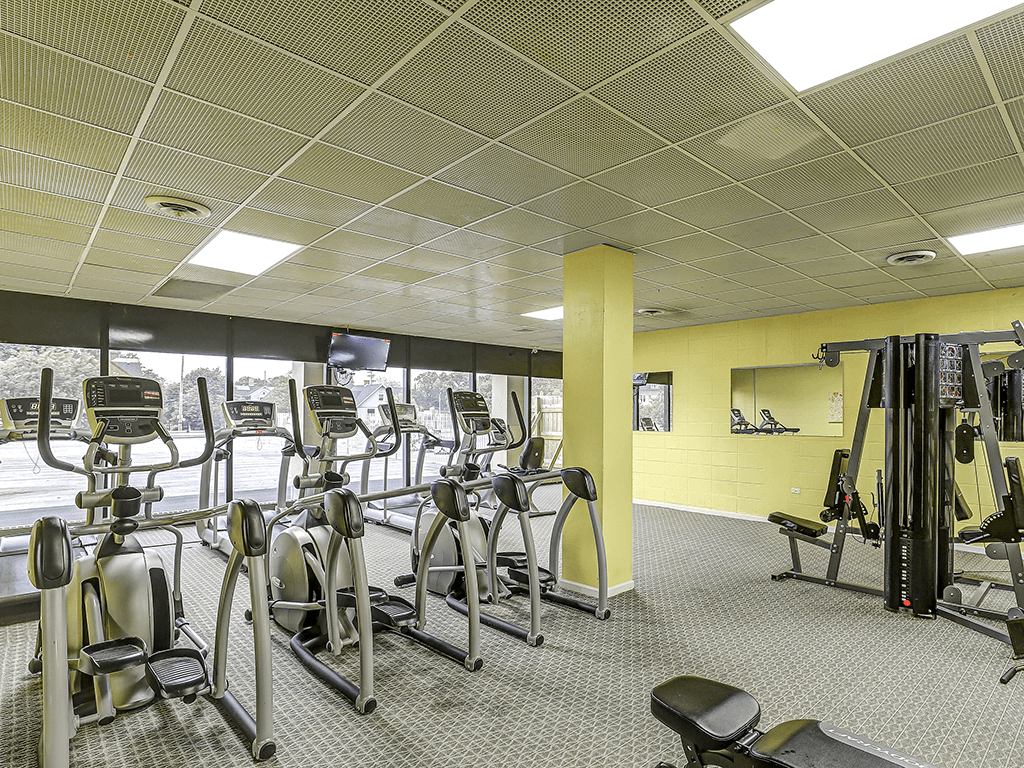 A gym with treadmills, elliptical machines, and weights.