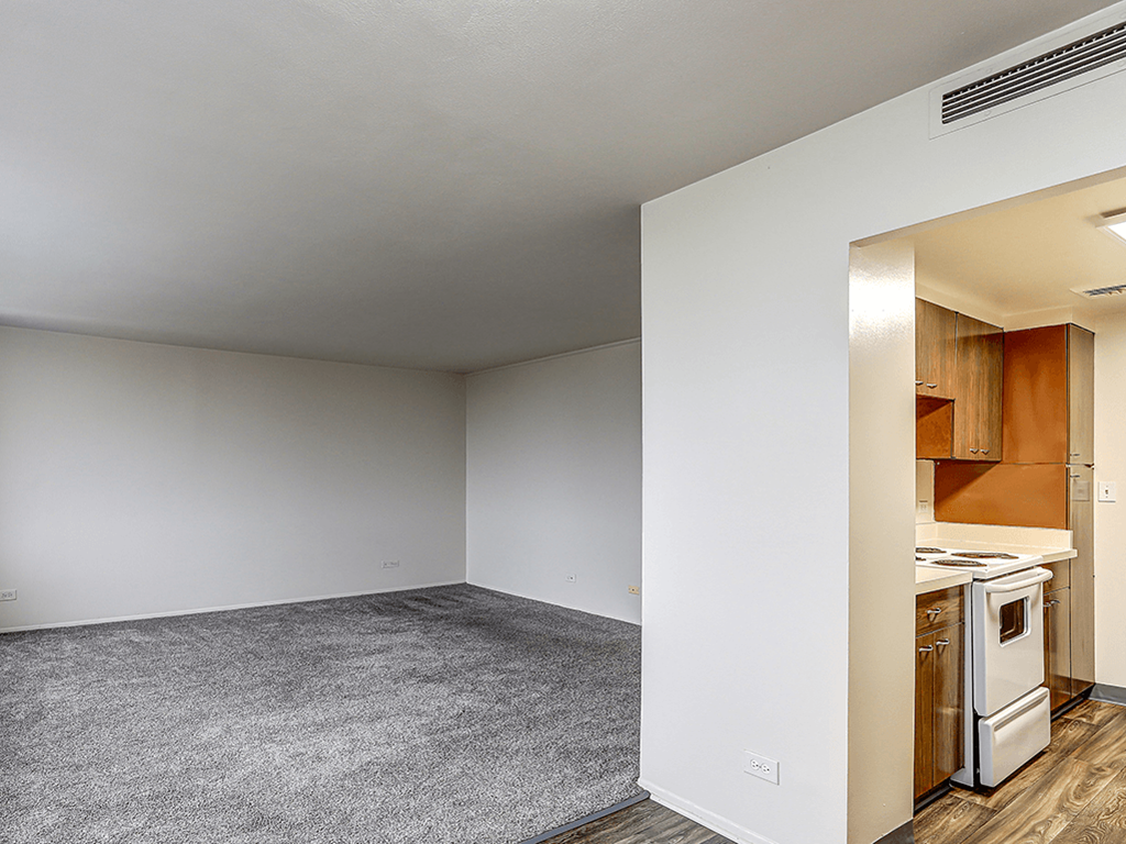 A kitchen area is visible through an open door in a white room.