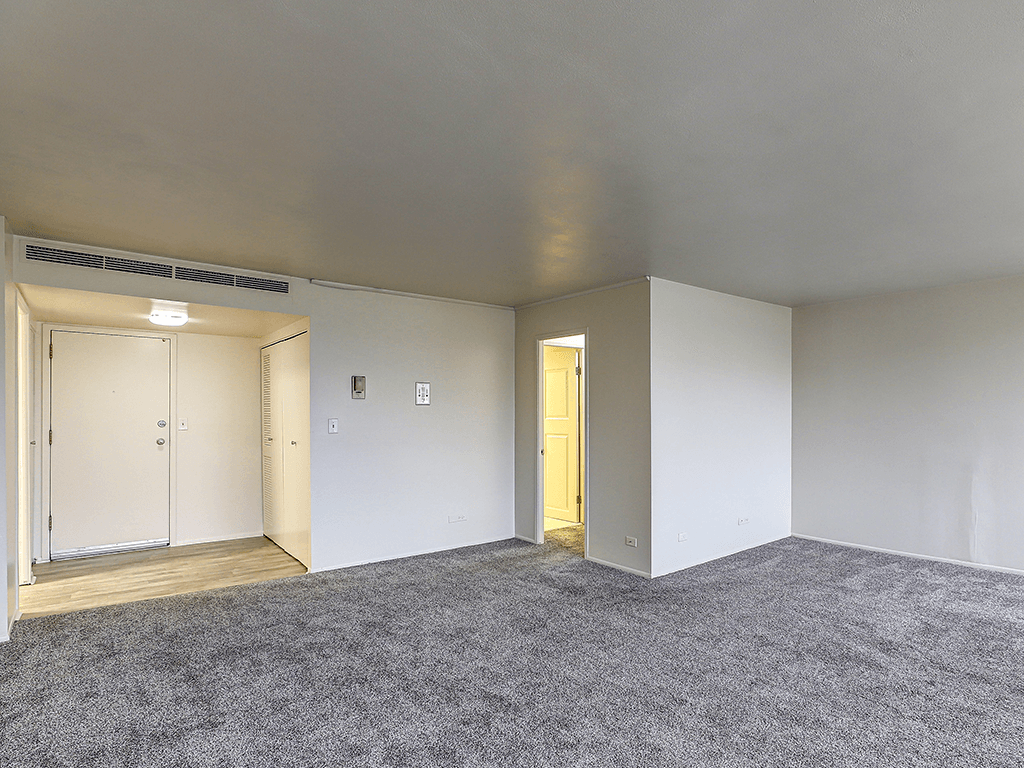 A room with a carpeted floor and two doors, one of which is open.