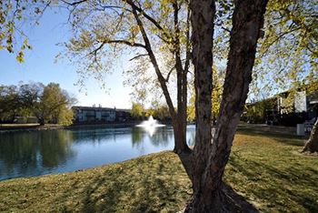 Beautiful Lake Views at Pavilion Lakes apartments