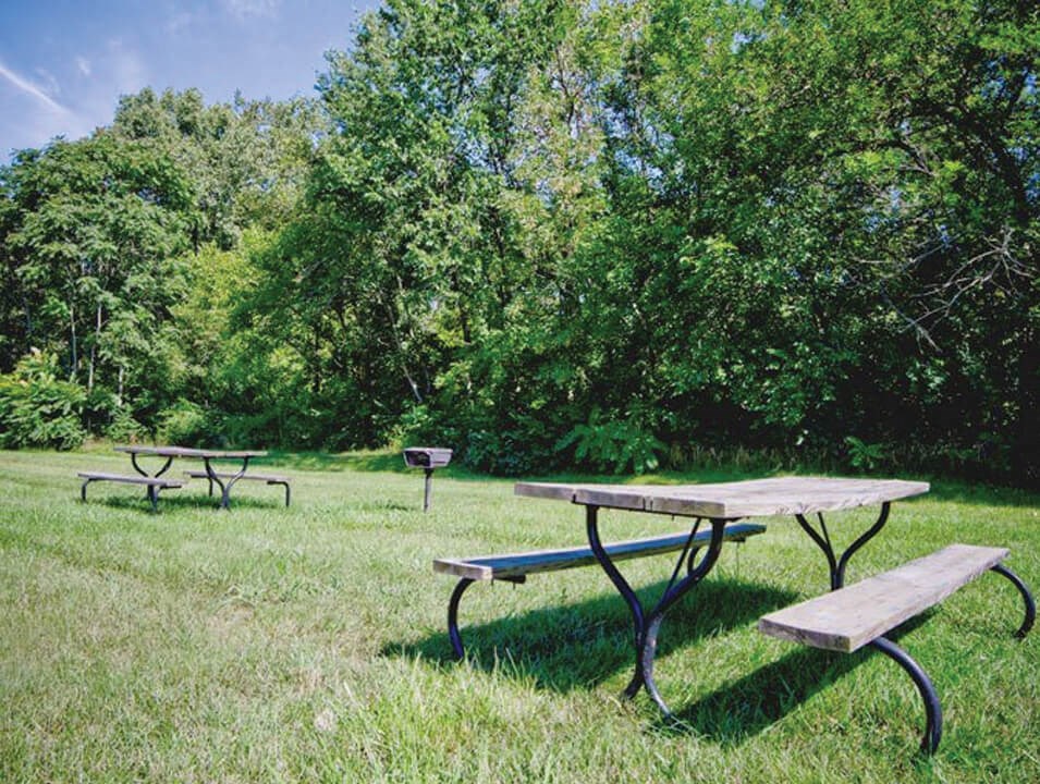 Picnic Area at apartment community