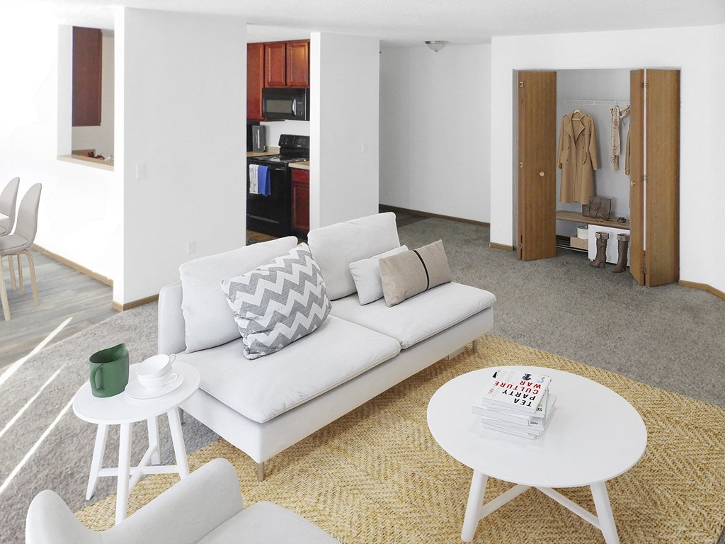 Spacious living room and large entry closets apartment in coon rapids