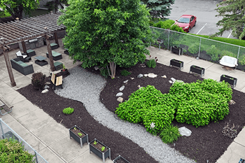 A landscaped area with a tree, shrubs, and a bench.