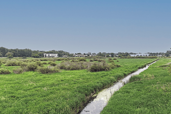 A stream flows through a grassy field with buildings in the distance.