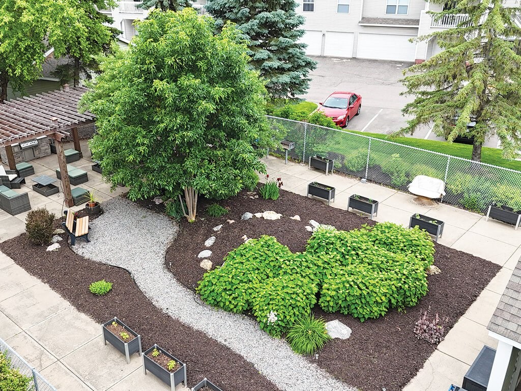 A landscaped garden area with a large tree and a small pond.