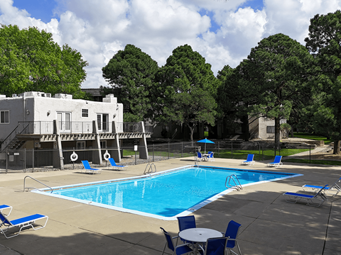 A pool surrounded by chairs and trees.