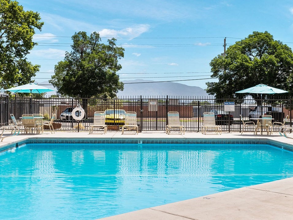a swimming pool with chairs and umbrellas and trees in the background