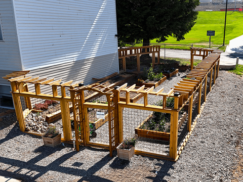 A wooden trellis with plants growing on it.