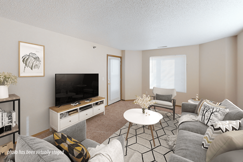 A living room with a television, a chair, a sofa, and a coffee table.