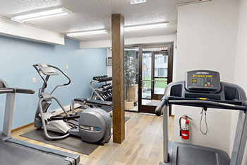 A gym with a treadmill, exercise bike and weights.