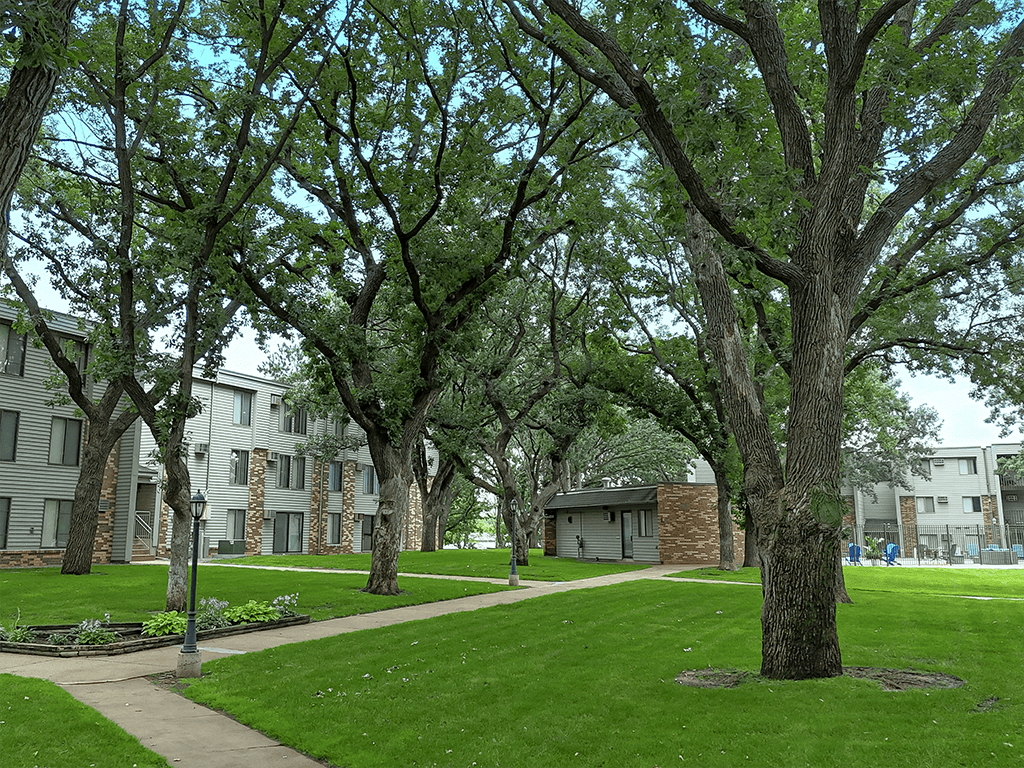 A tree-lined walkway leads to a building.