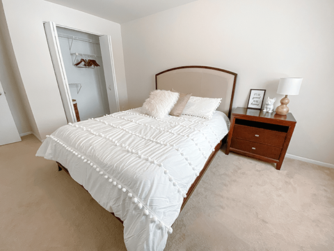 Bedroom with Closet