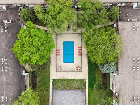 A pool surrounded by trees and grass in a parking lot.