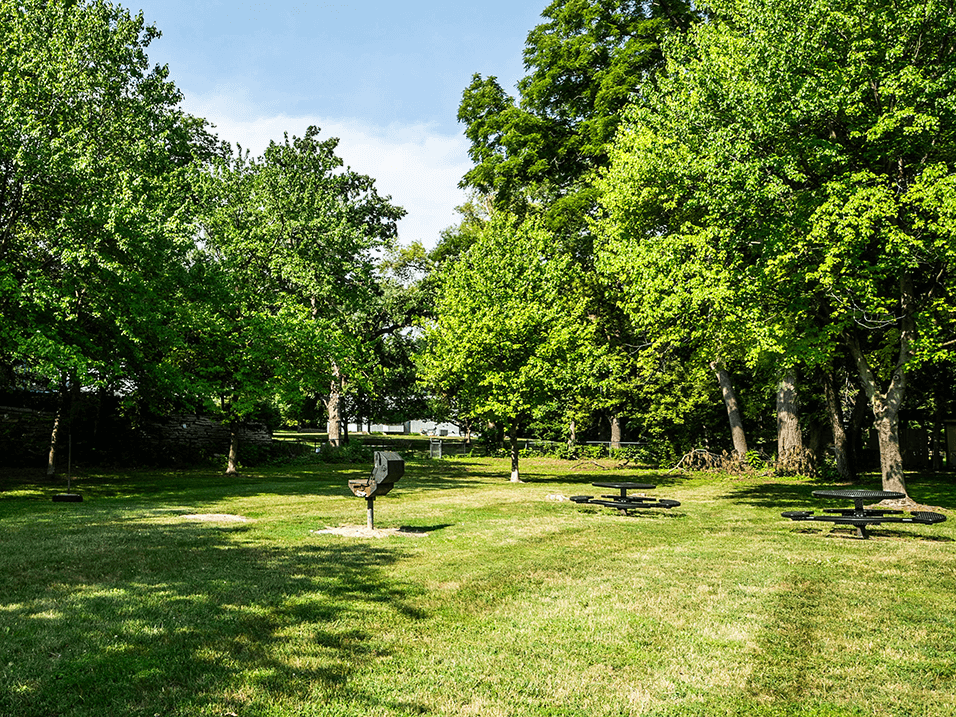a grassy area with trees and a picnic table