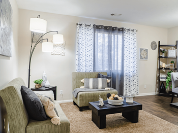 apartment living room - Photo Gallery 4