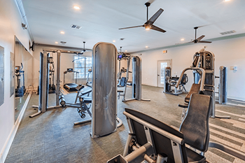 A gym with a variety of equipment including treadmills, weights, and a bench press.