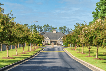 A tree-lined street with a building in the distance.