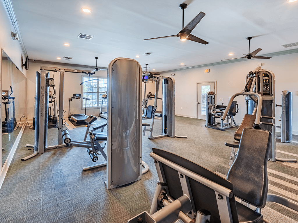 A gym with a variety of equipment including treadmills, weights, and a bench press.