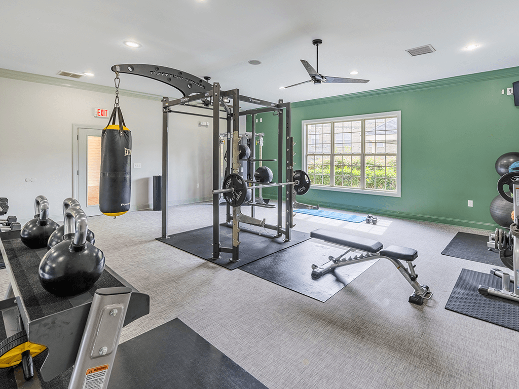 A gym with a green wall and a variety of equipment.
