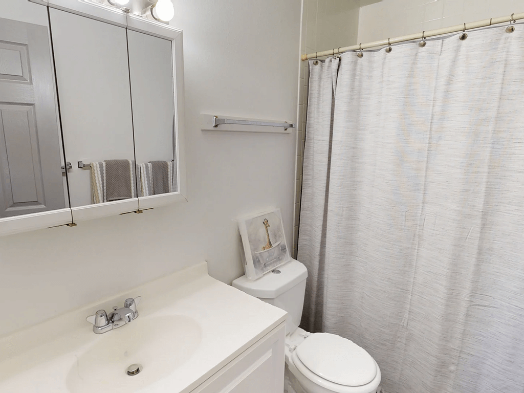 a bathroom with a sink toilet and a shower