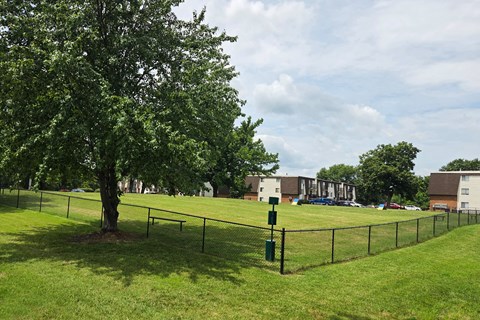 A tree stands in a grassy field next to a fence.