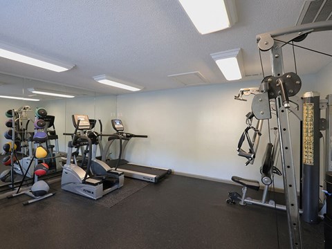 a gym with weights and cardio equipment in a home gym
