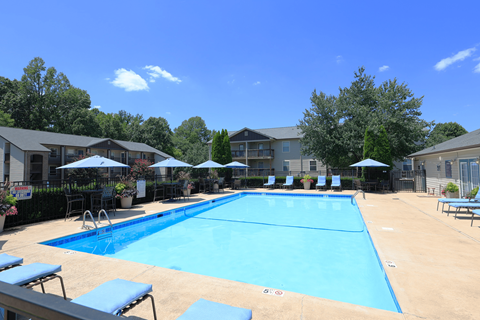 A large blue swimming pool surrounded by sun loungers and umbrellas.