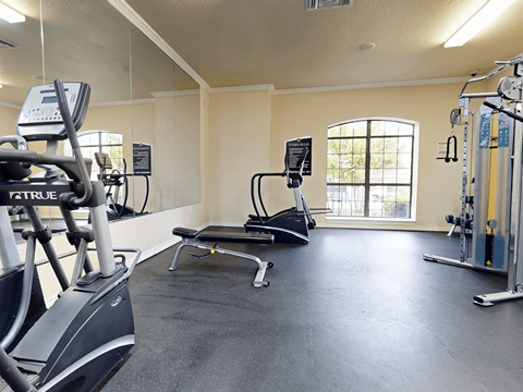 A gym with treadmills, elliptical machines, and other exercise equipment.
