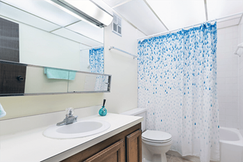 A white sink with a blue soap on top of it.