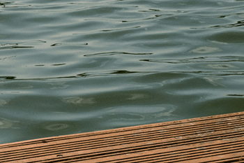 A wooden plank is in the foreground of a body of water.