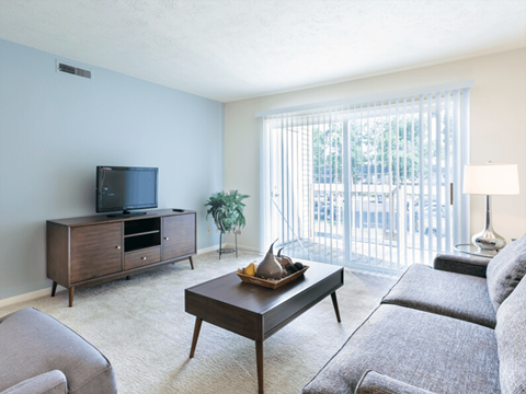 A living room with a grey couch, a wooden coffee table, a television, and a plant.