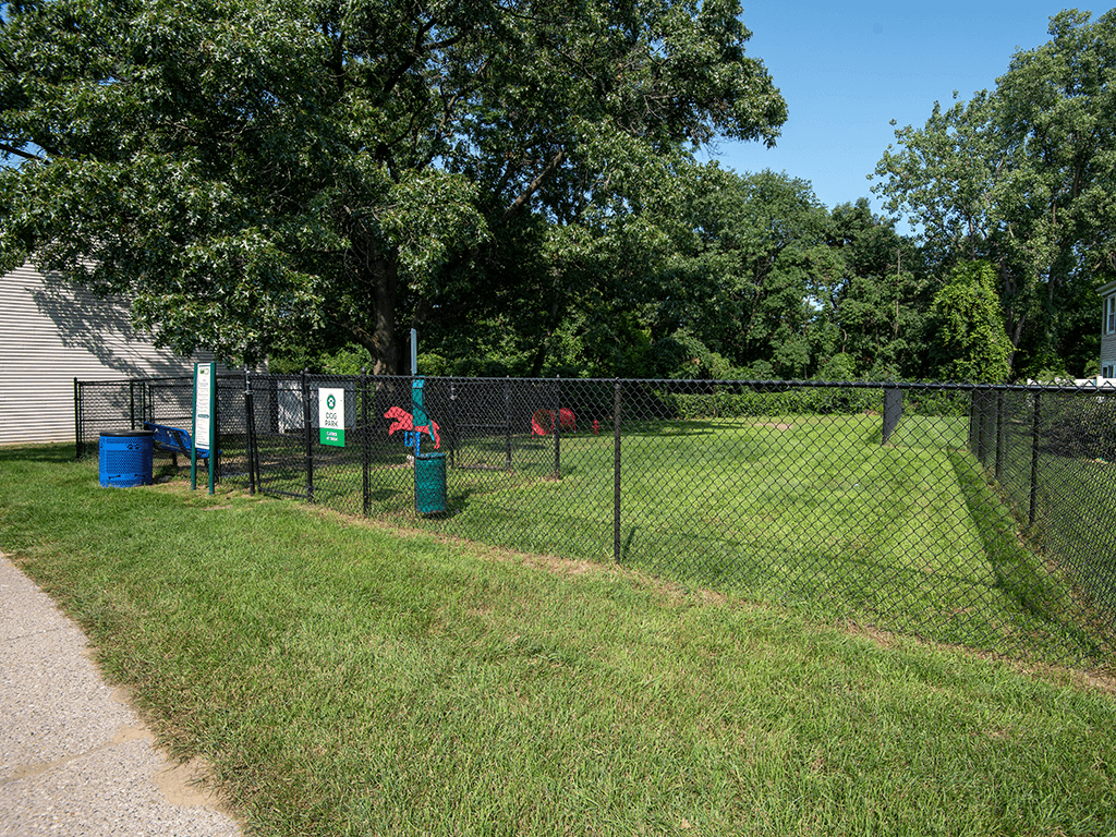 two dogs in a fenced in area behind a chain link fence