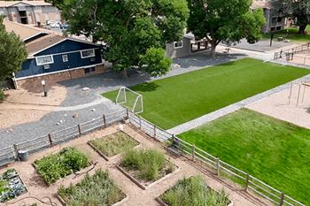 A backyard with a fence, a green lawn, and a vegetable garden.